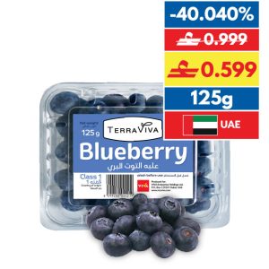 Terraviva Blueberry 125g/pc