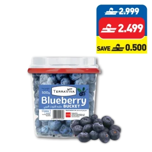 Terraviva Blueberry 500g