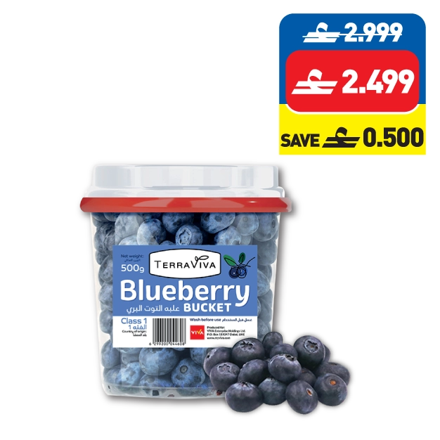 ﺗيراﻓﻴﻔﺎ ﺗﻮت ﺑﺮي٥٠٠ غ Terraviva Blueberry 500g
