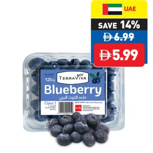 Blueberry 125g/pc