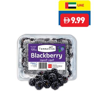 Terraviva Blackberry 125g
