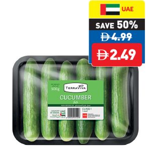 Cucumber 500g/pc Cucumber 500g/pc